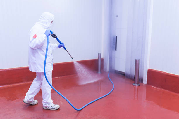 Best Warehouse Cleaning  in Mattawan, MI